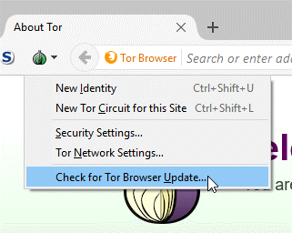 access to the dark web